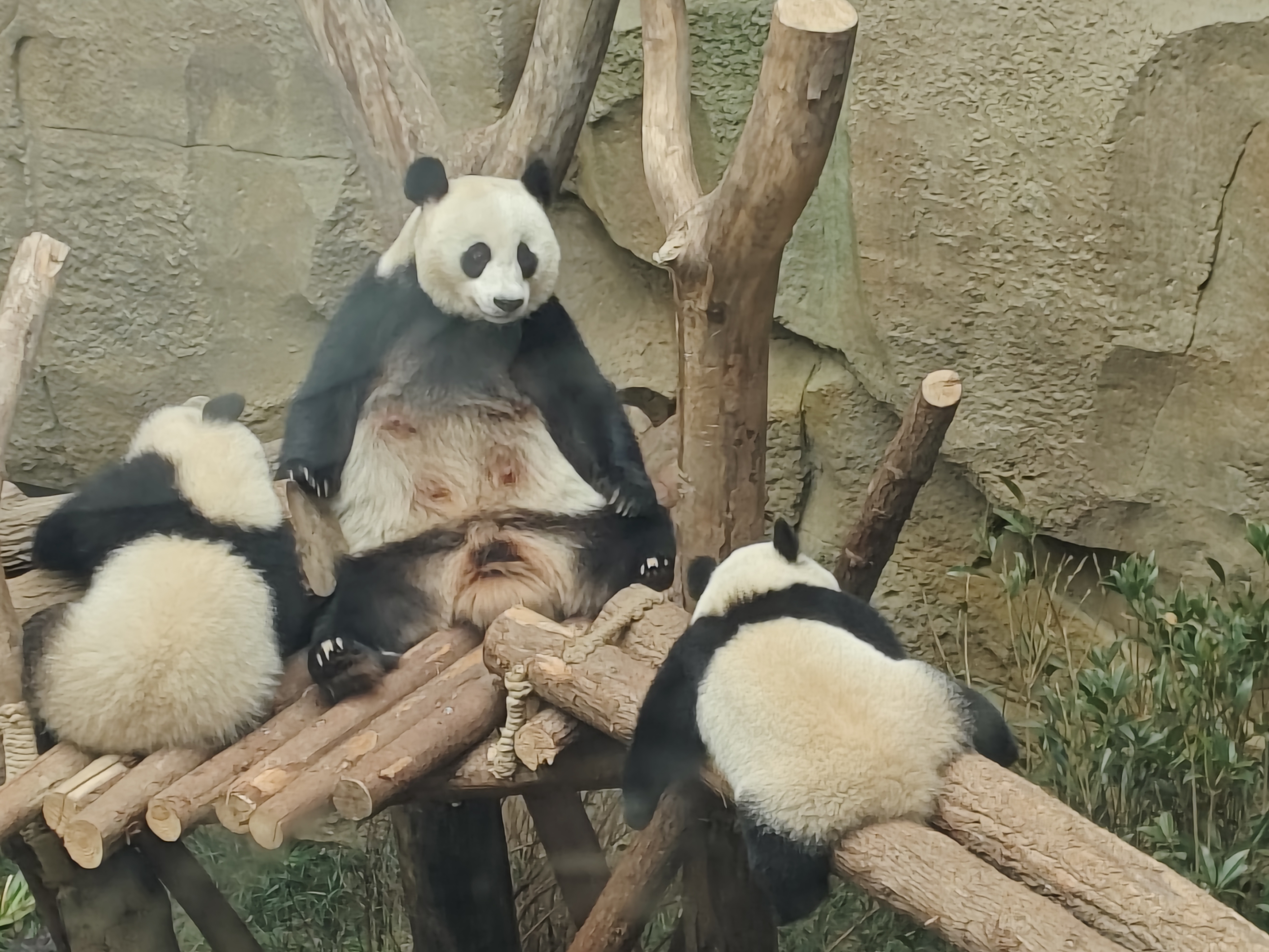 成都